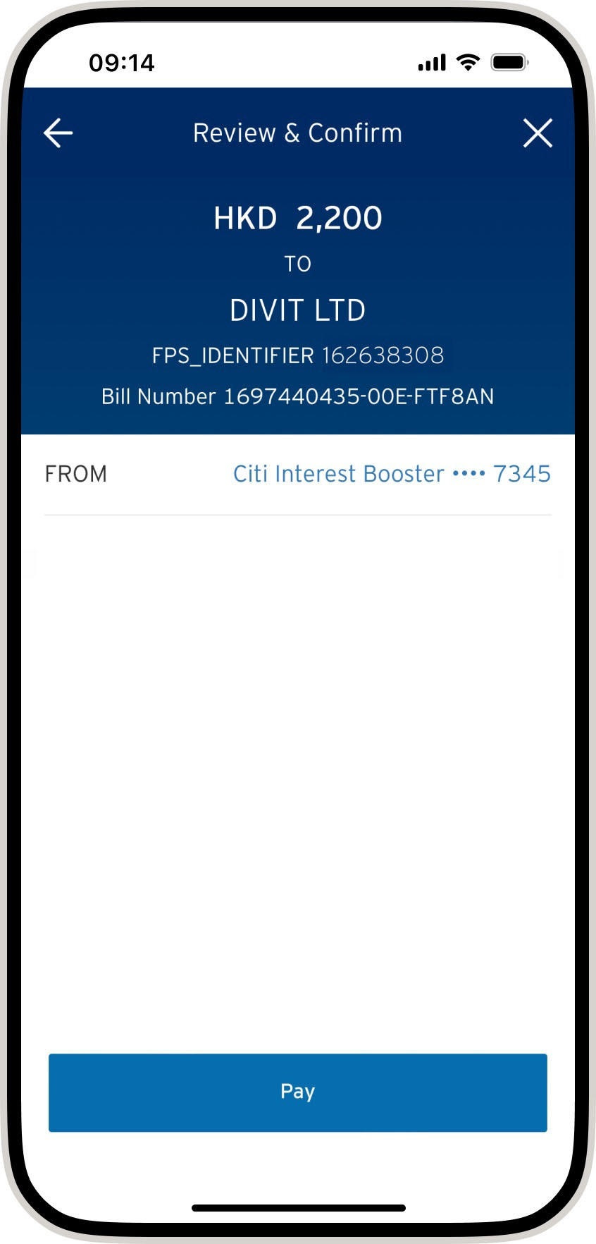 Citibank screen to verify the payment details before confirming